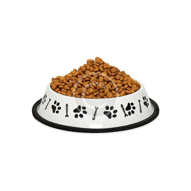 Plato de comida cerámico